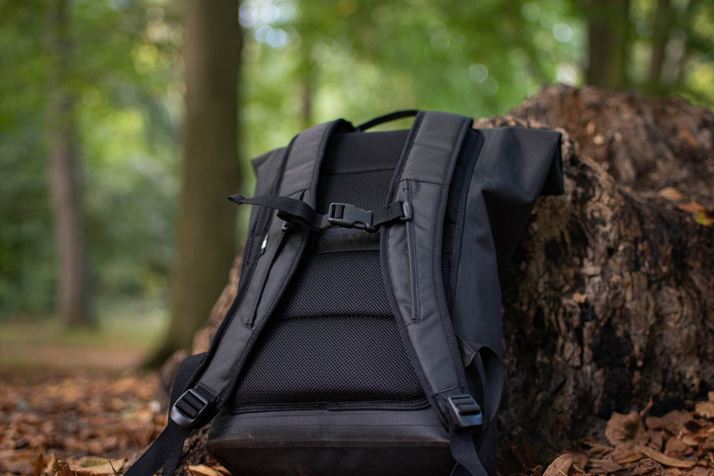 Rucksack Rolltop Lite 2.0